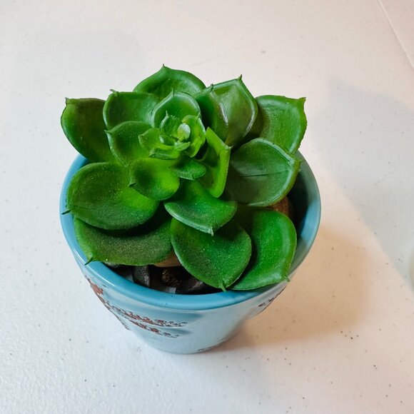 Artificial Succulent Plants In Dragonfly Pots Set Of 2 Decorative Greenery - Picture 3 of 6